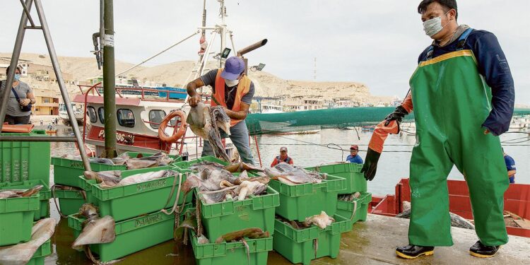 Gremios exigen agilidad para formalizar la flota pesquera artesanal
