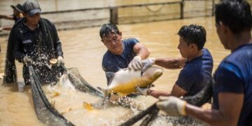 Produce autorizó subvenciones por más de S/ 2.9 millones para proyectos en pesca y acuicultura
