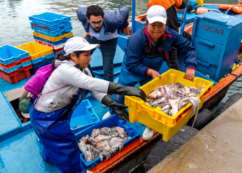 ¿Cómo puede la tecnología aportar a la sostenibilidad pesquera y el bienestar de los pescadores?