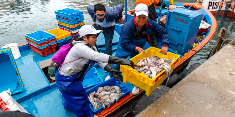 Caracteristicas De La Tecnologia Agropecuaria Y Pesquera pescaymedioambiente.com