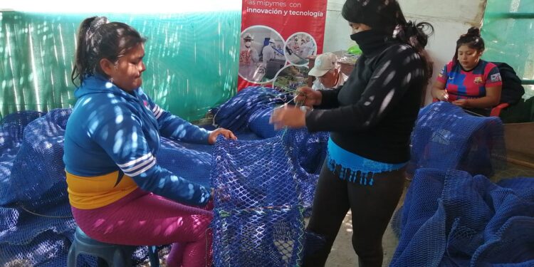 Piura: Pescadores artesanales de Sechura aprenden a construir e instalar trampas para capturar especies acuáticas