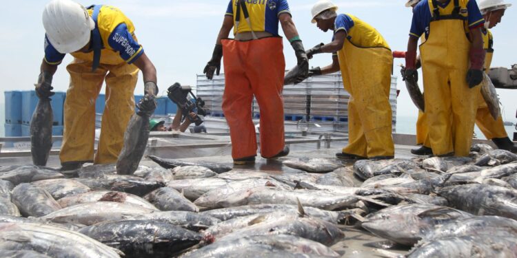 Congreso oficializa alcance de régimen aduanero para pesca de recursos altamente migratorios