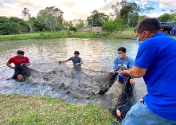 Produce autorizó subvenciones por S/ 1.2 millones para proyectos de pesca y acuicultura