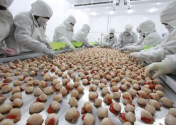 Exportaciones de pesca no tradicionales alcanzarían nivel prepandemia en 2022