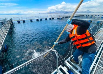 Sanipes fortalece planes de emergencia ante cualquier ingreso de enfermedad que afecte la acuicultura peruana