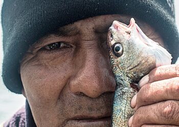 Congreso busca derogar ley que protege recursos pesqueros y especies del Mar de Grau