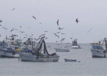 Más de 5 mil pescadores de Lambayeque y Piura piden declarar en emergencia la pesca artesanal