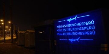 ¿En qué consiste la campaña que busca proteger el futuro de los tiburones frente al tráfico de aletas?