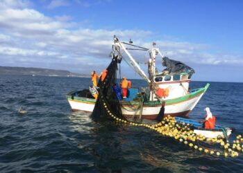 Piura: Pescadores se unen al paro por ley que criminaliza actividad pesquera