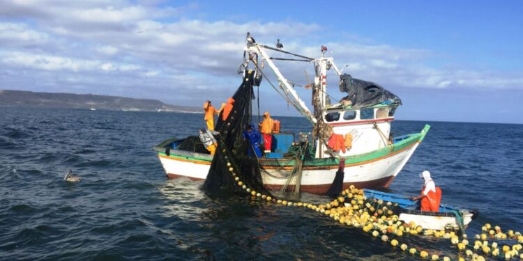 Piura: Pescadores se unen al paro por ley que criminaliza actividad pesquera