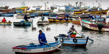 Pescadores artesanales del sur peruano respaldaron ley que protege los recursos marinos