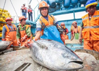 Recursos hidrobiológicos peruanos podrán ser exportados a Japón