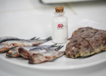 Elaboran concentrado proteico de anchoveta para combatir la desnutrición infantil