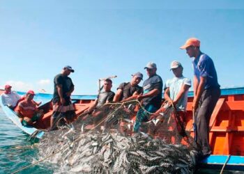 Congreso despenaliza la pesca artesanal y capturas incidentales