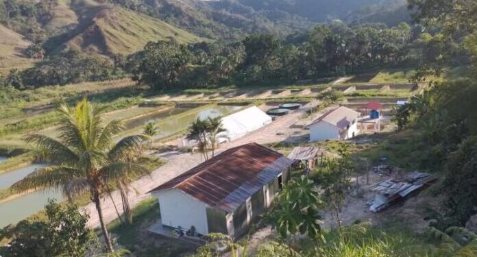 Gobierno Regional de San Martín  relanzará Estación Pesquera Uchiza