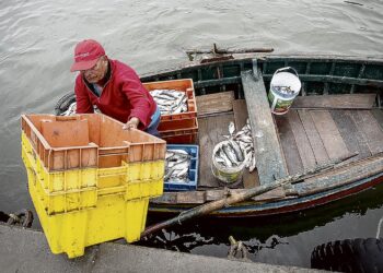 Congreso de la República logra consenso para modificar la ley que protege los recursos pesqueros