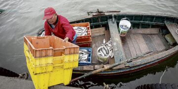 Congreso de la República logra consenso para modificar la ley que protege los recursos pesqueros