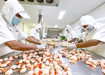 Sanipes habilitará reglamento que respalda a la industria pesquera y acuícola ante mercados internacionales