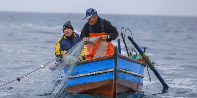 Ejecutivo promulgó ley que despenaliza las capturas incidentales en la pesca