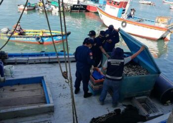 Gobierno evalúa creación de comisión ante aumento de pesca ilegal en Perú