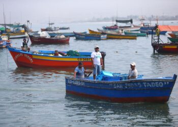 Se cumplió un año del derrame de petróleo: ¿Cuál es la situación de los pescadores?