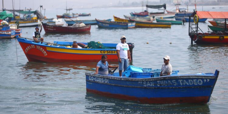 Se cumplió un año del derrame de petróleo: ¿Cuál es la situación de los pescadores?