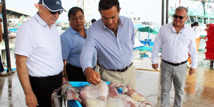 El IMARPE, CAPECAL y APAMARPA suscriben acuerdo para fomentar el aprovechamiento sostenible del calamar gigante