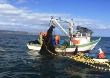 Plantean que trabajadores del sector pesca accedan a una jubilación anticipada