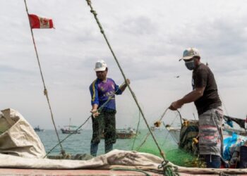 Conoce innovadoras iniciativas para fortalecer la protección del mar peruano