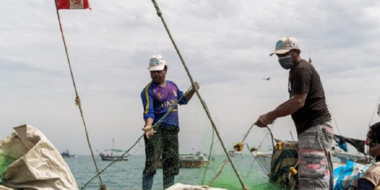 Conoce innovadoras iniciativas para fortalecer la protección del mar peruano