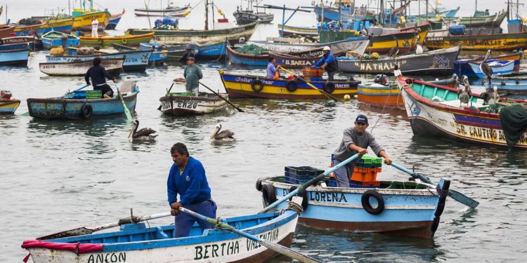 Ministerio de la Producción aún no emite los lineamientos para formalizar a la flota pesquera del norte