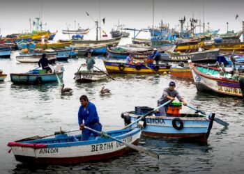 Protección de las 5 millas beneficiará a más de 50.000 pescadores artesanales