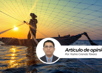 Mujeres lideran emprendimientos en el sector pesquero