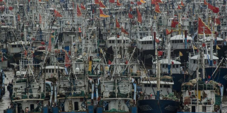 Pescadores artesanales denuncian que Produce reduciría controles para el ingreso de barcos chinos
