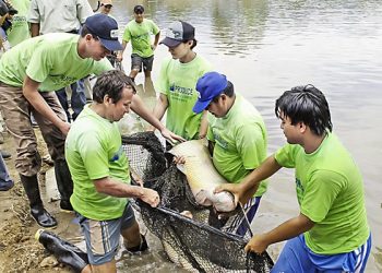 Peruanos apuestan por innovación acuícola
