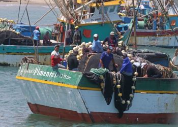 Especialistas advierten que ampliar el proceso de formalización pesquera podría generar corrupción