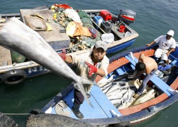 Opinión: ¿Y si nos acordamos de la pesca?