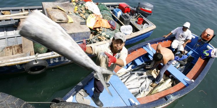 Opinión: ¿Y si nos acordamos de la pesca?