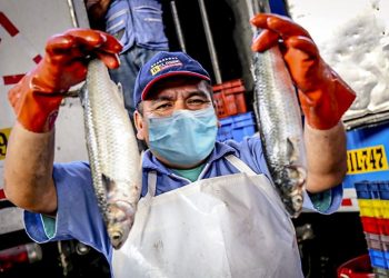 Pescadores y armadores esperan salvavidas del Ministerio de la Producción