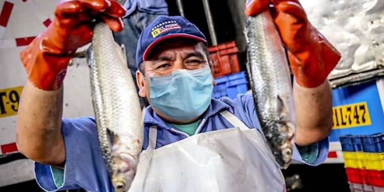 Pescadores y armadores esperan salvavidas del Ministerio de la Producción