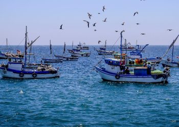 Ejecutivo amplía plazo para incorporar sistema de control satelital en flota en proceso de formalización