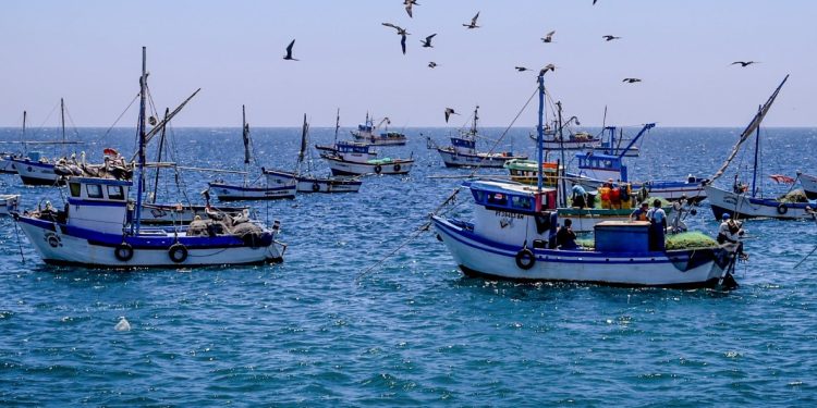 Ejecutivo amplía plazo para incorporar sistema de control satelital en flota en proceso de formalización