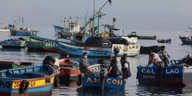 Sociedad Nacional de Pesquería exhorta al Produce que atienda difícil situación de armadores y pescadores