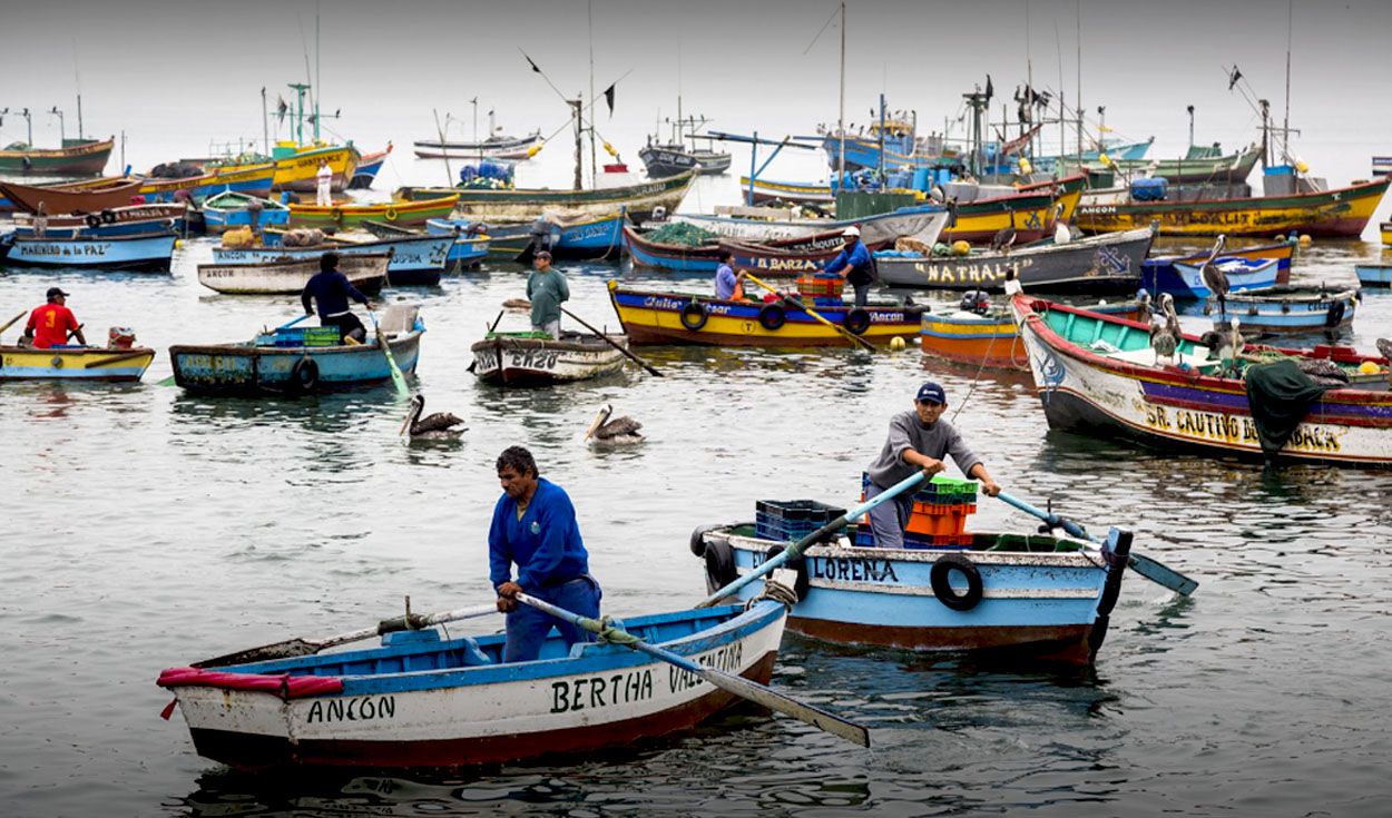Segundo censo de pesca artesanal a nivel nacional es declarado una