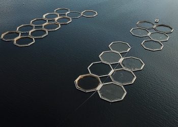 Centro INCAR desarrolló seminario «Green Certifications in Aquaculture»