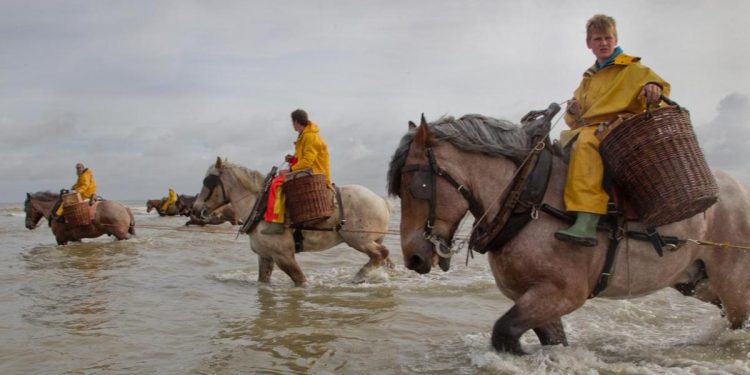 Cambio climático pone en peligro a pescadores a caballo de camarones