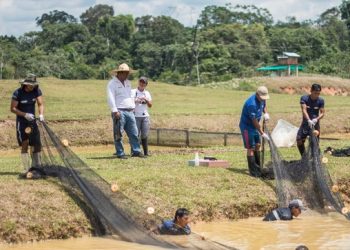 Acuicultura: ¿cuántos productores existen en el Perú y en qué regiones se ubican?