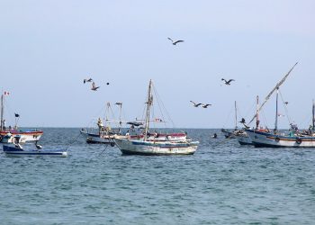 Tumbes: Oleajes anómalos paralizan labores de pescadores artesanales