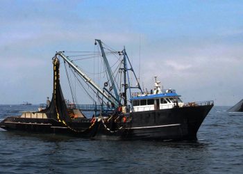 Eduardo Ferreyros, presidente de la SNP: “Decisiones mal tomadas, pesquería más golpeada”