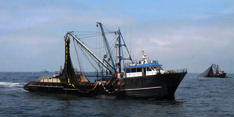 Eduardo Ferreyros, presidente de la SNP: “Decisiones mal tomadas, pesquería más golpeada”